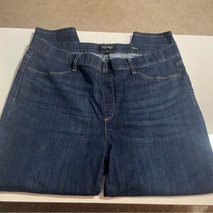 Judy Blue Skinny Jeans